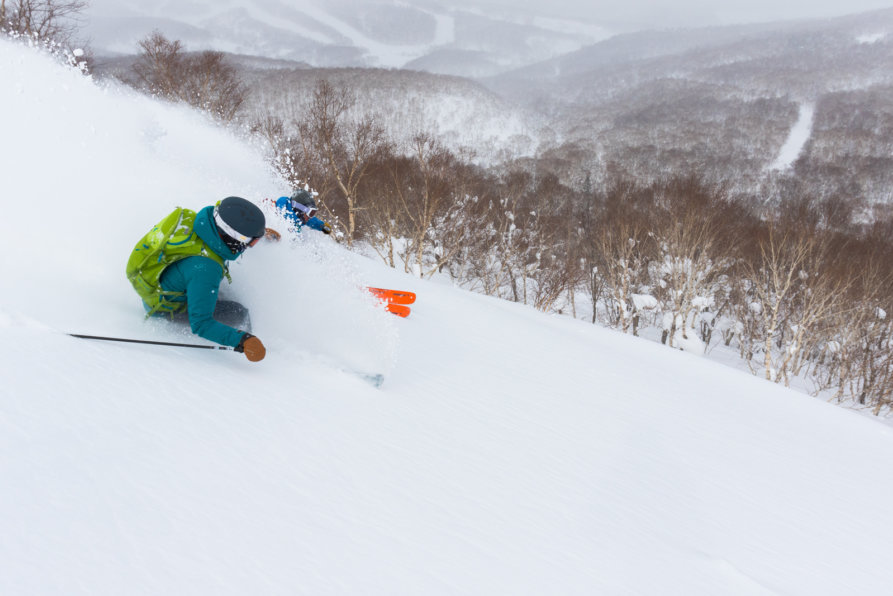 Powder Guiding Skiing Lr 6