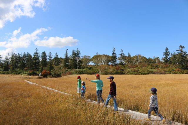 Shinsen Marsh