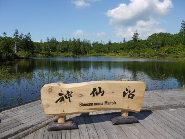 Shinsen Marsh 2