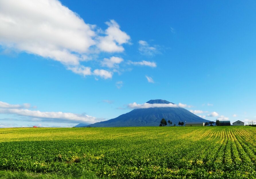 夏の羊蹄山