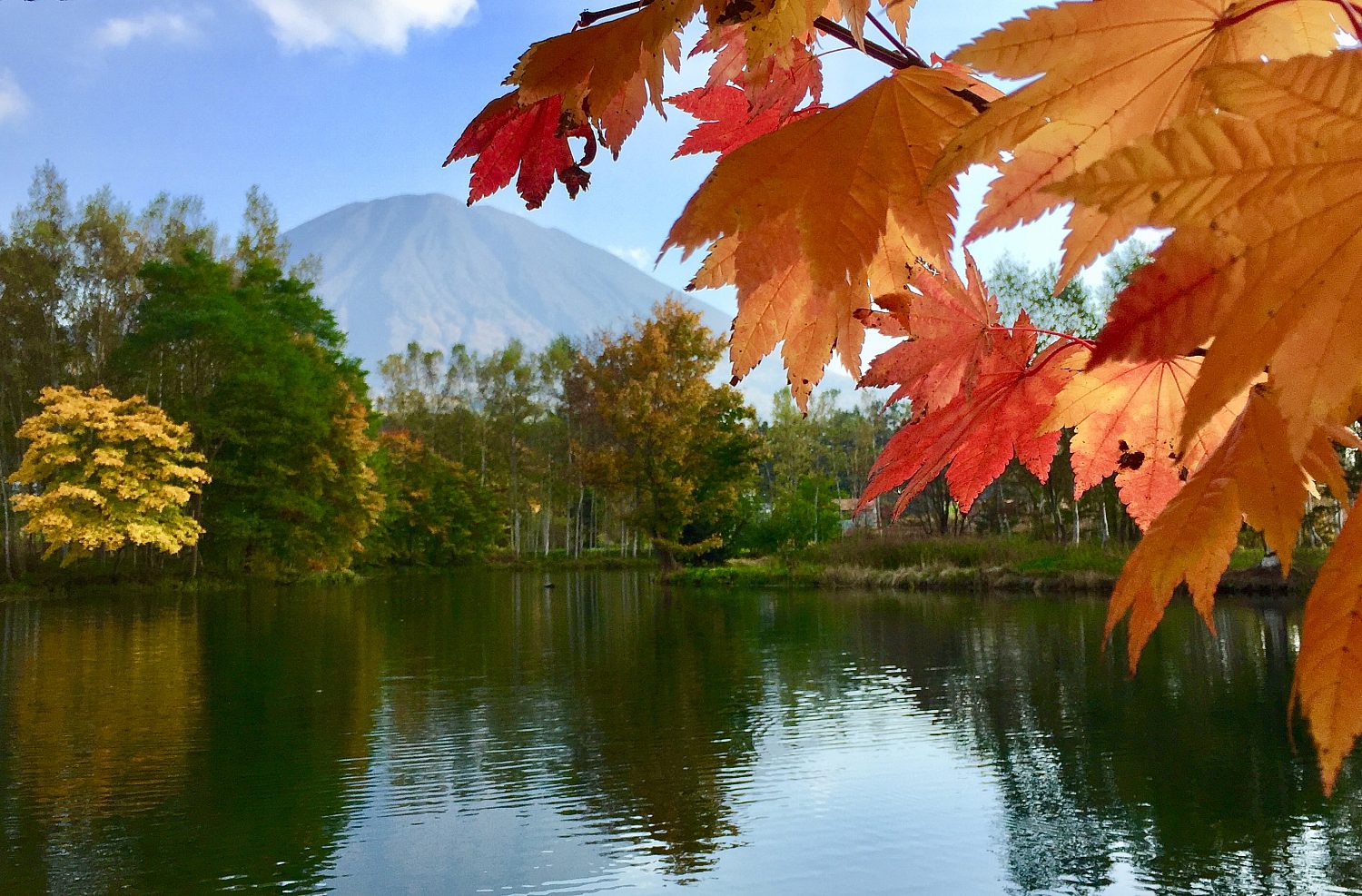 Autumn Shot 2